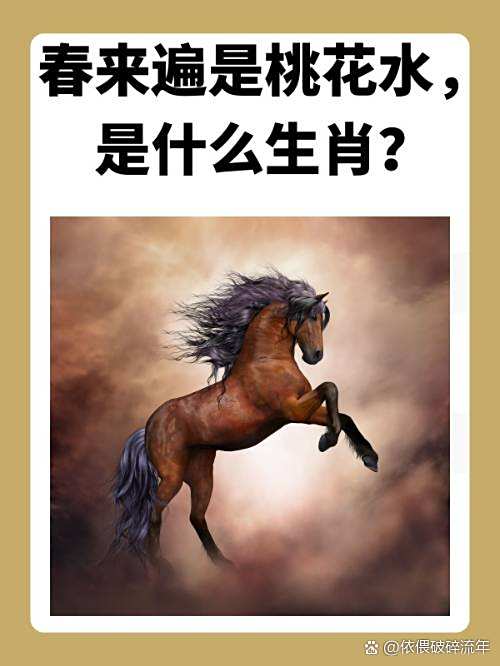 单人独马的拼音单人独马的拼音是什么