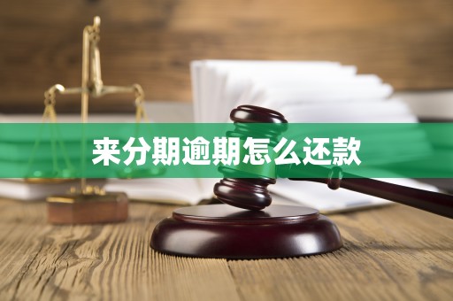 来分期怎么登录